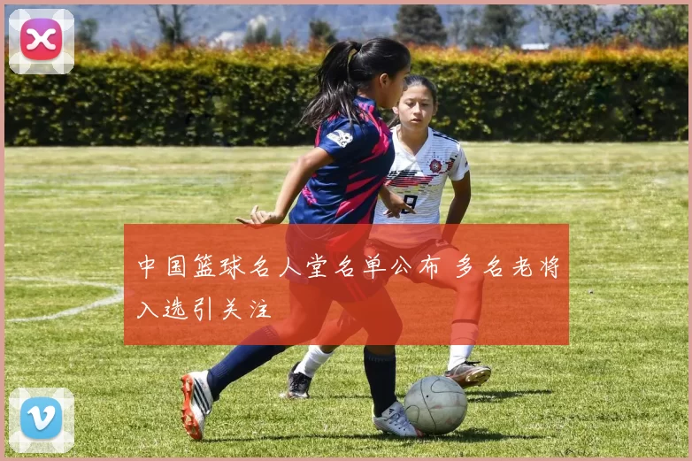 中国篮球名人堂名单公布 多名老将入选引关注