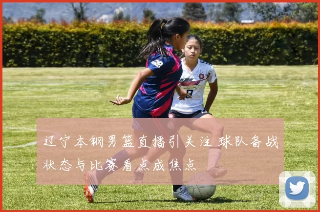 辽宁本钢男篮直播引关注 球队备战状态与比赛看点成焦点