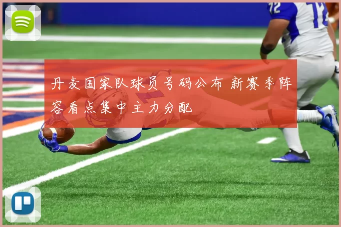 丹麦国家队球员号码公布 新赛季阵容看点集中主力分配